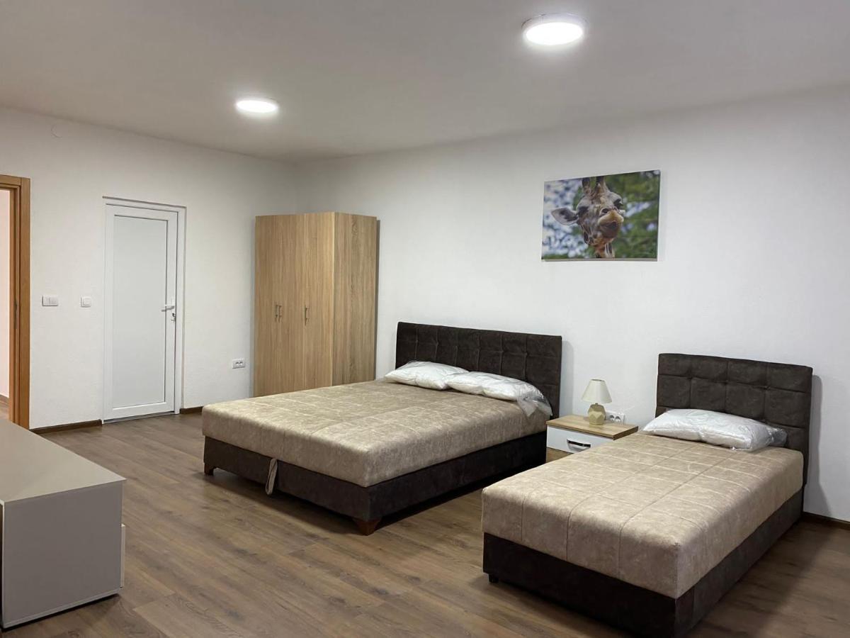 Vila Centar Mb Bed & Breakfast Sjenica Ngoại thất bức ảnh